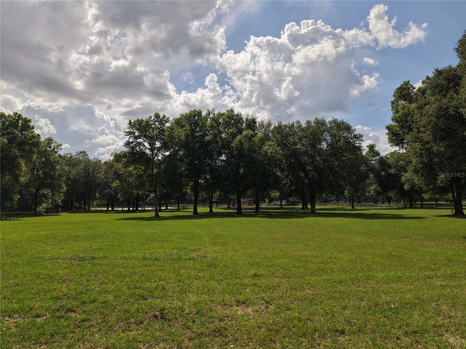 7191 NE 150TH AVE, WILLISTON, FL, 32696