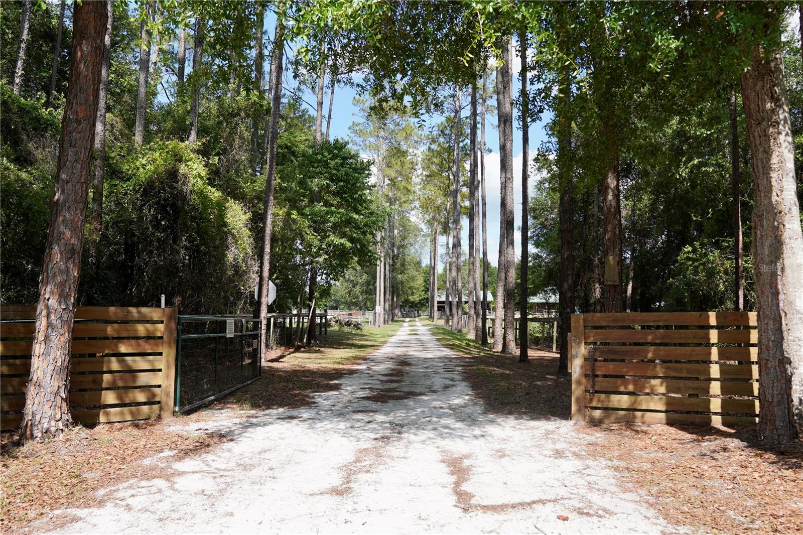 7191 NE 150TH AVE, WILLISTON, FL, 32696