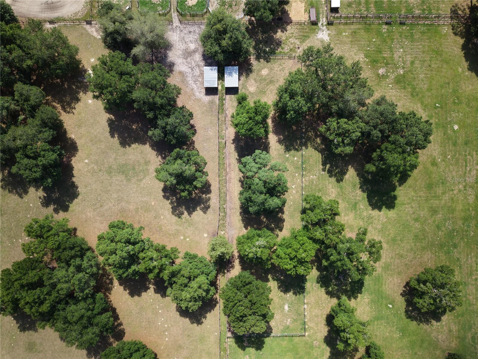 7191 NE 150TH AVE, WILLISTON, FL, 32696