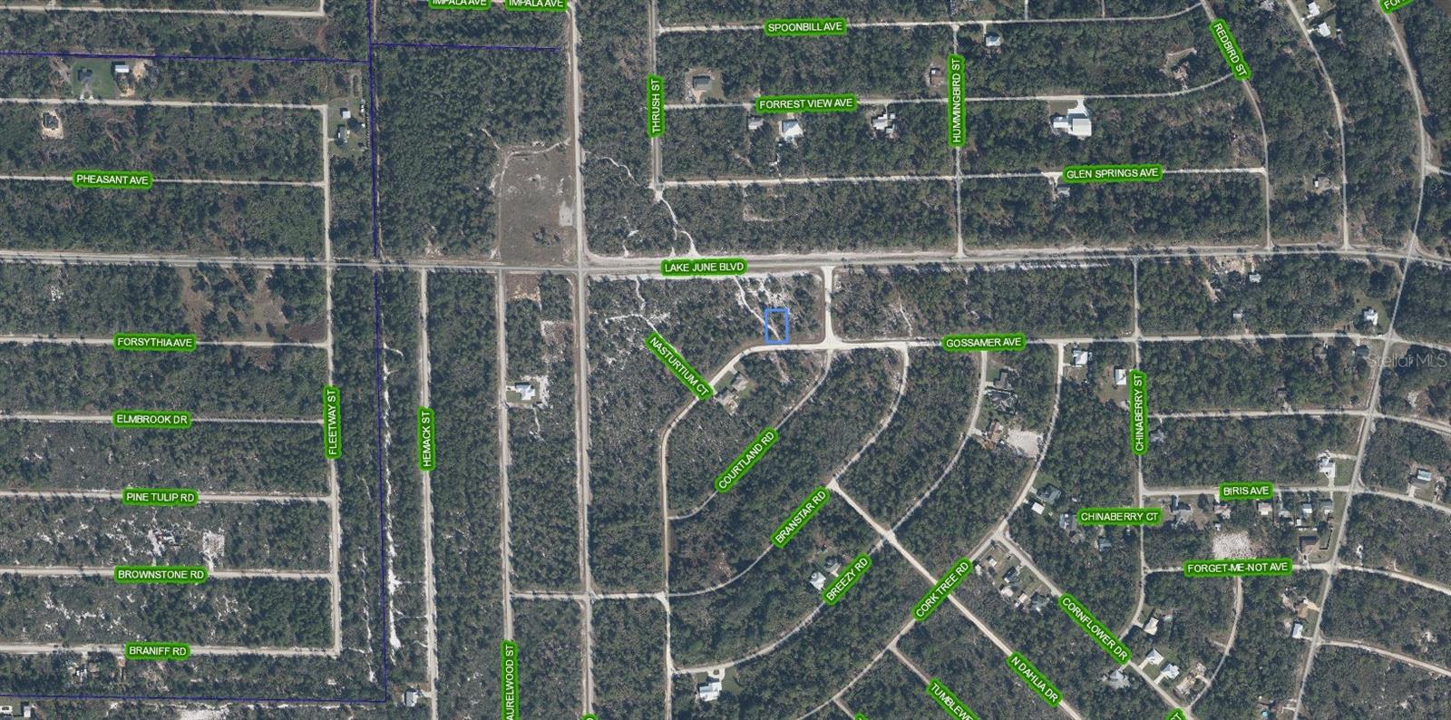 3324 GOSSAMER AVE, LAKE PLACID, FL, 33852