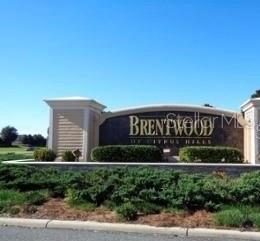 1668 W SPRING MEADOW LOOP, LECANTO, FL, 34461