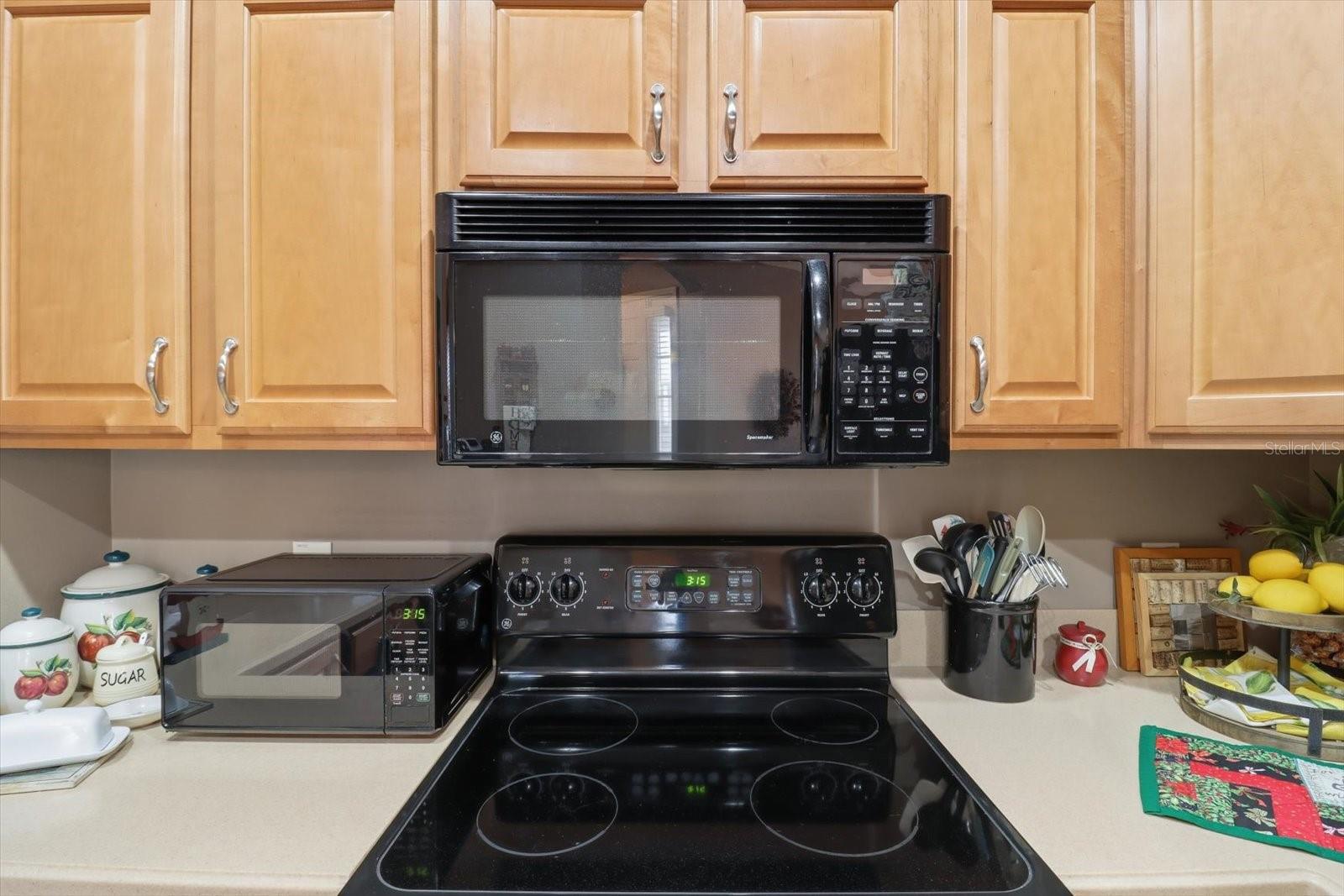 1668 W SPRING MEADOW LOOP, LECANTO, FL, 34461