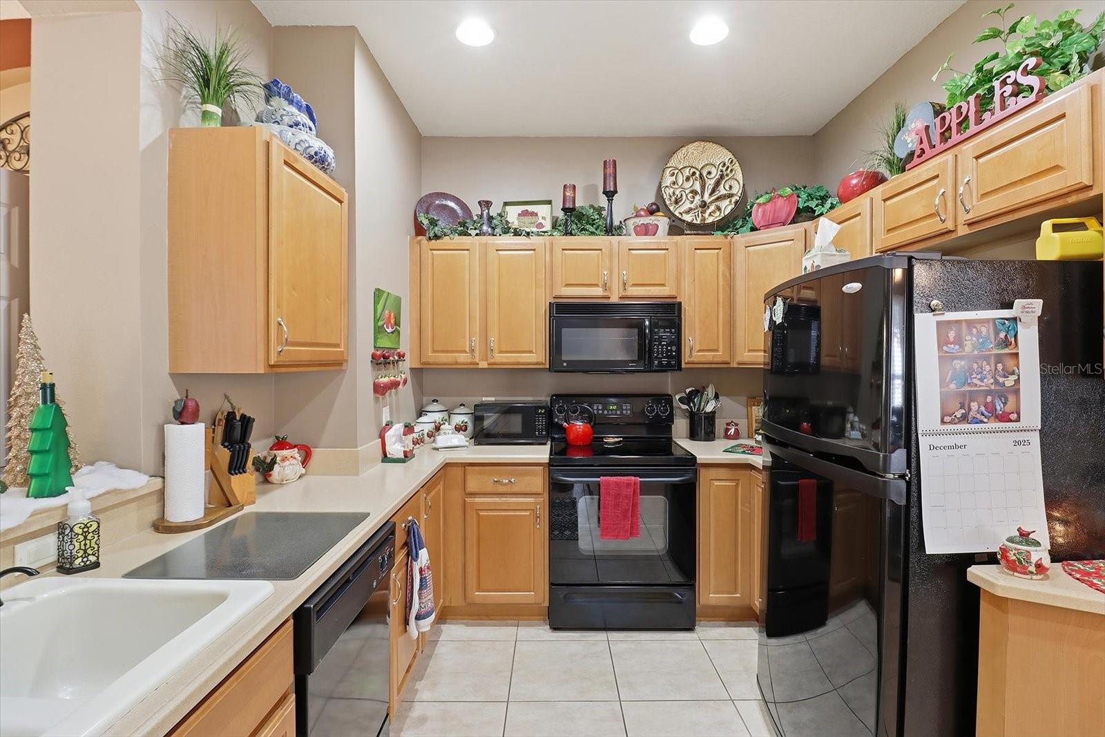 1668 W SPRING MEADOW LOOP, LECANTO, FL, 34461