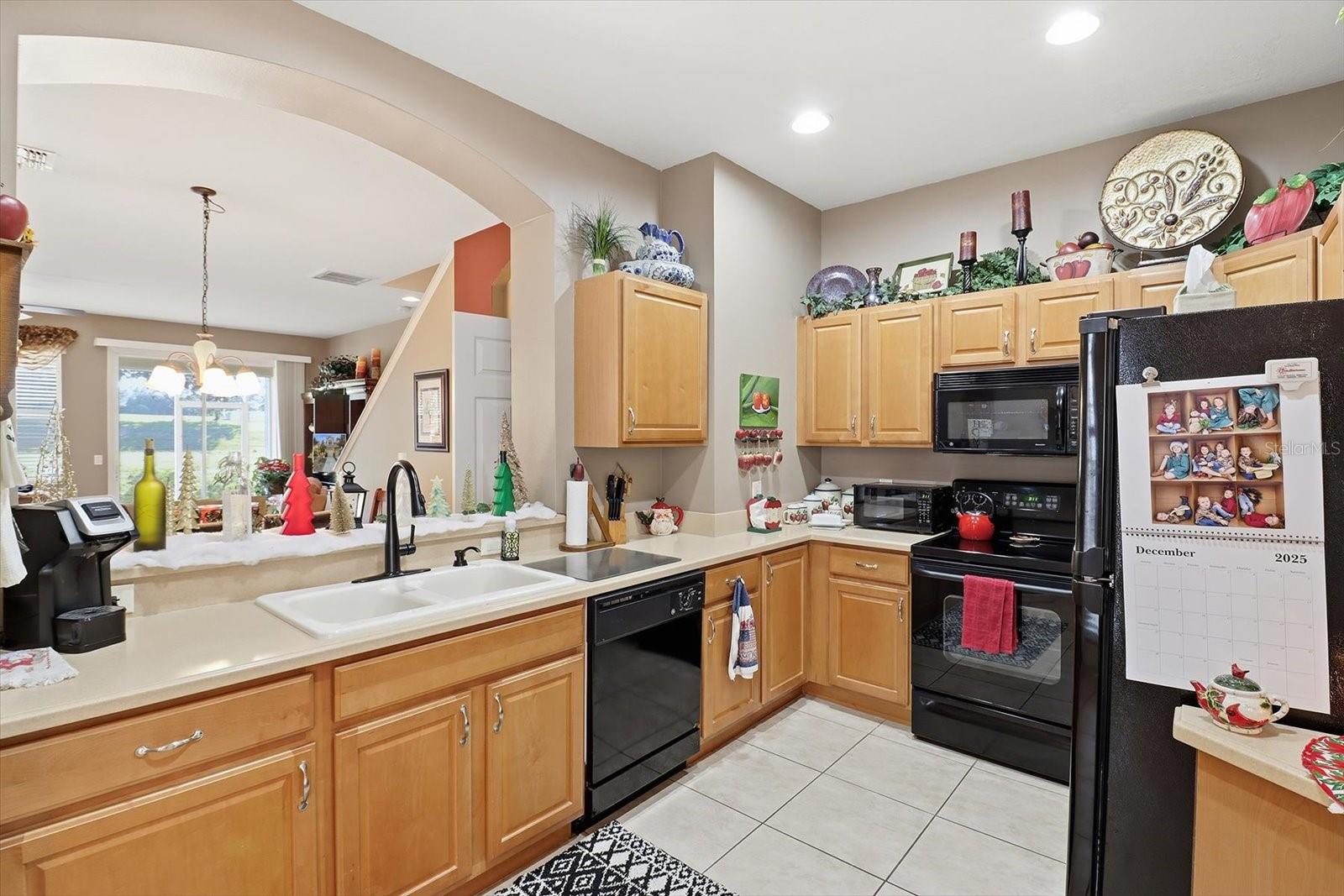 1668 W SPRING MEADOW LOOP, LECANTO, FL, 34461