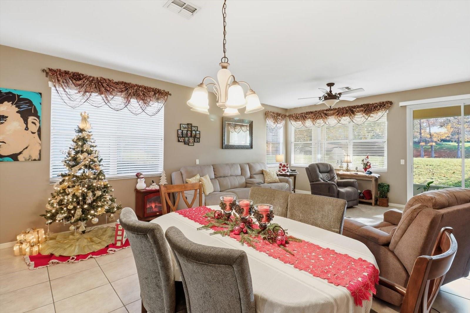 1668 W SPRING MEADOW LOOP, LECANTO, FL, 34461
