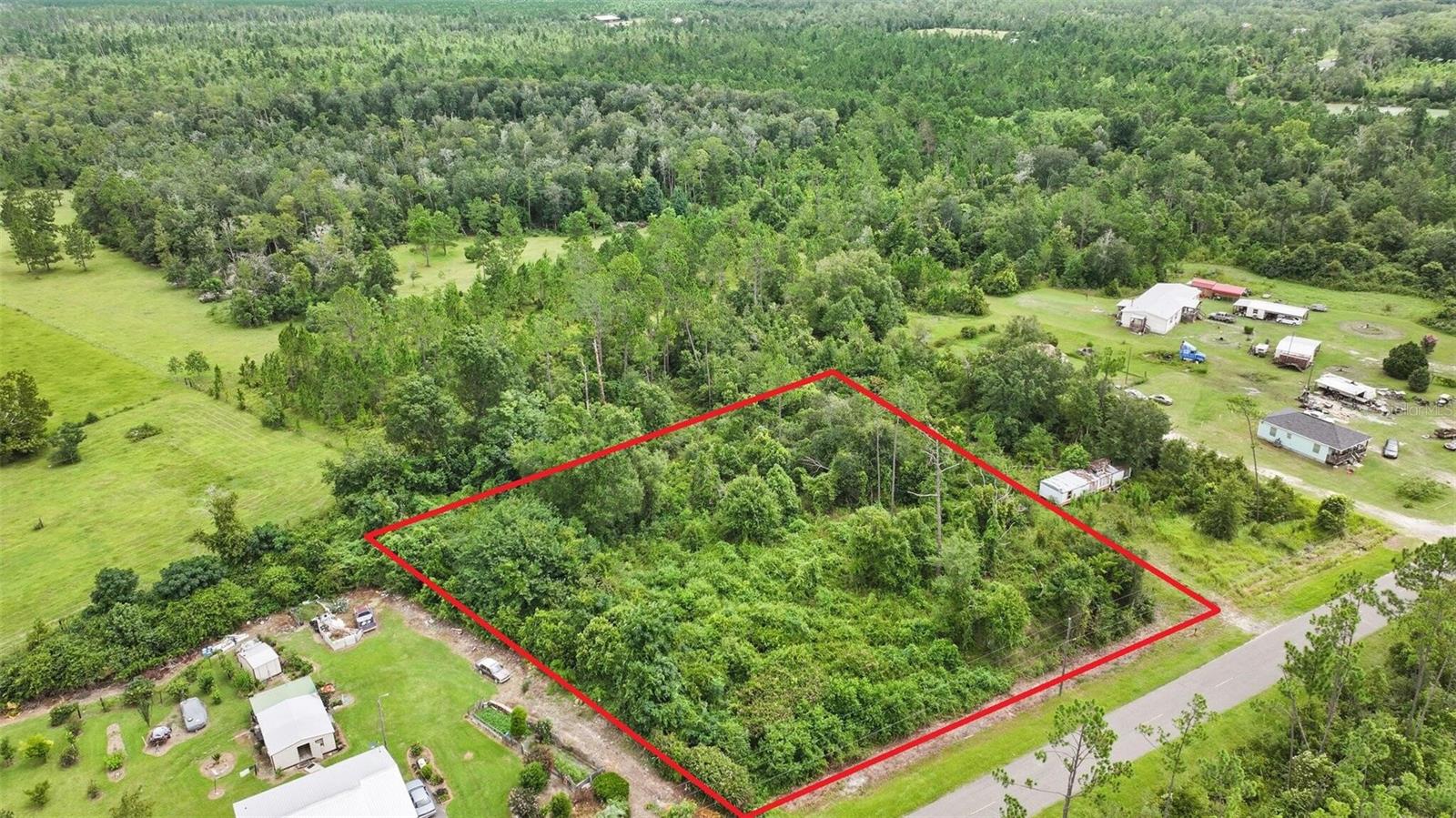 OLD PANAMA, WEWAHITCHKA, FL, 32465
