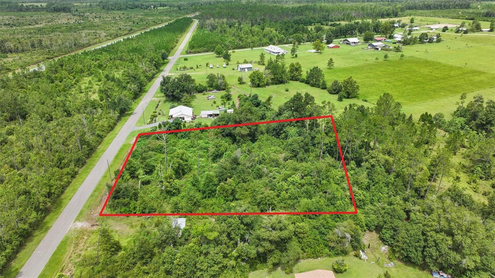 OLD PANAMA, WEWAHITCHKA, FL, 32465