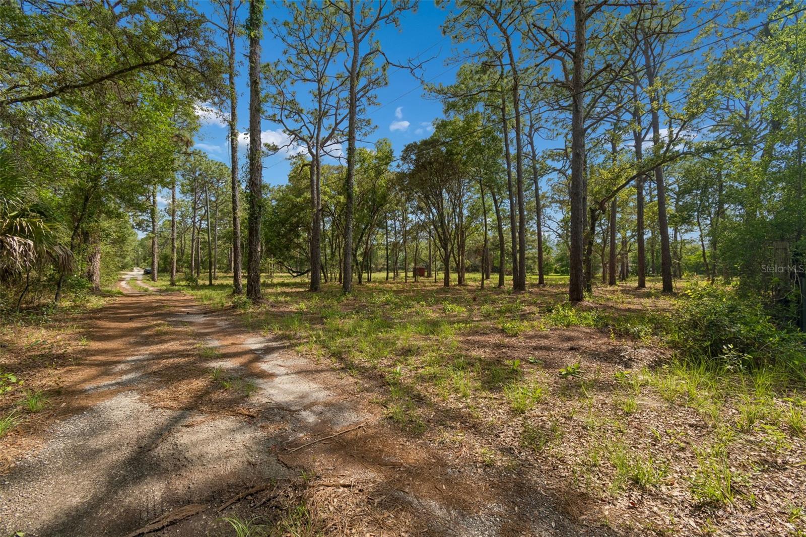 GROVE RD, BROOKSVILLE, FL, 34613