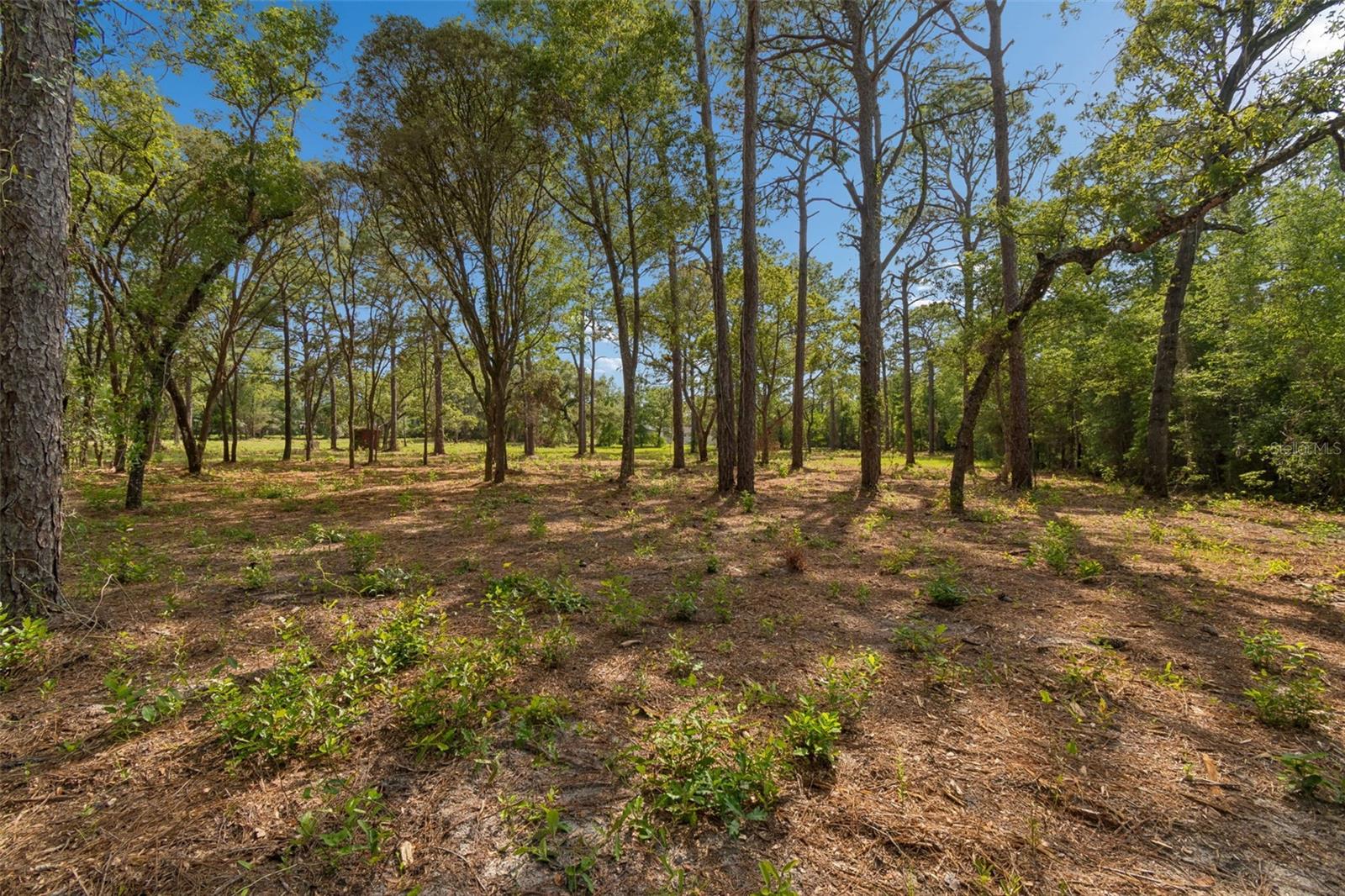 GROVE RD, BROOKSVILLE, FL, 34613