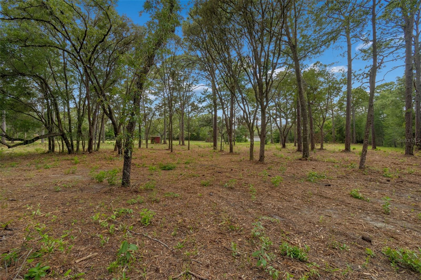 GROVE RD, BROOKSVILLE, FL, 34613