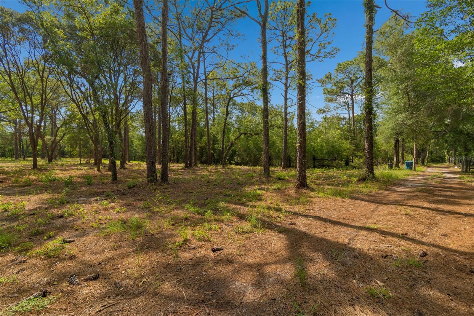 GROVE RD, BROOKSVILLE, FL, 34613