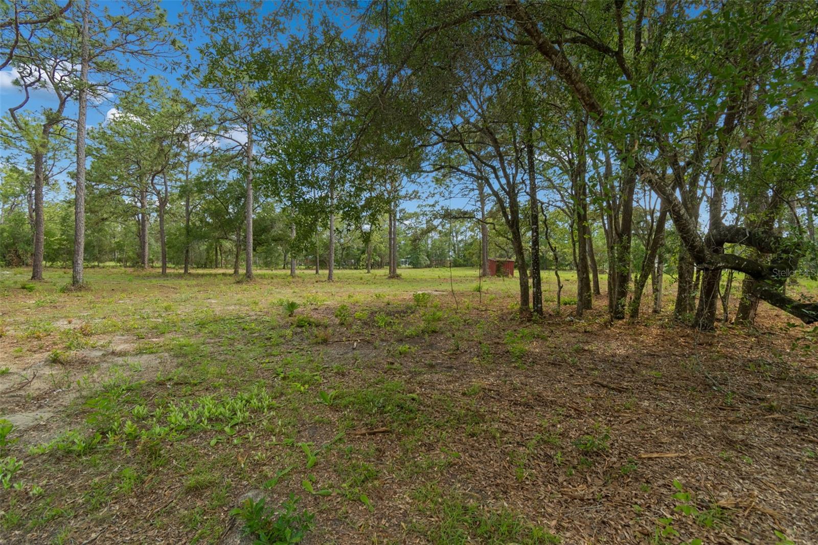 GROVE RD, BROOKSVILLE, FL, 34613