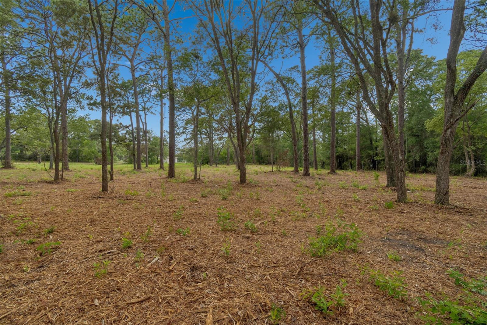 GROVE RD, BROOKSVILLE, FL, 34613