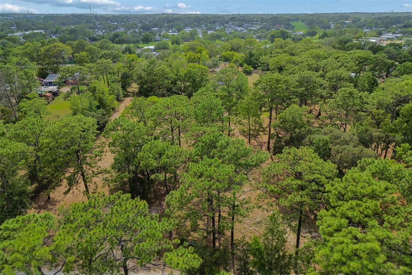 GROVE RD, BROOKSVILLE, FL, 34613
