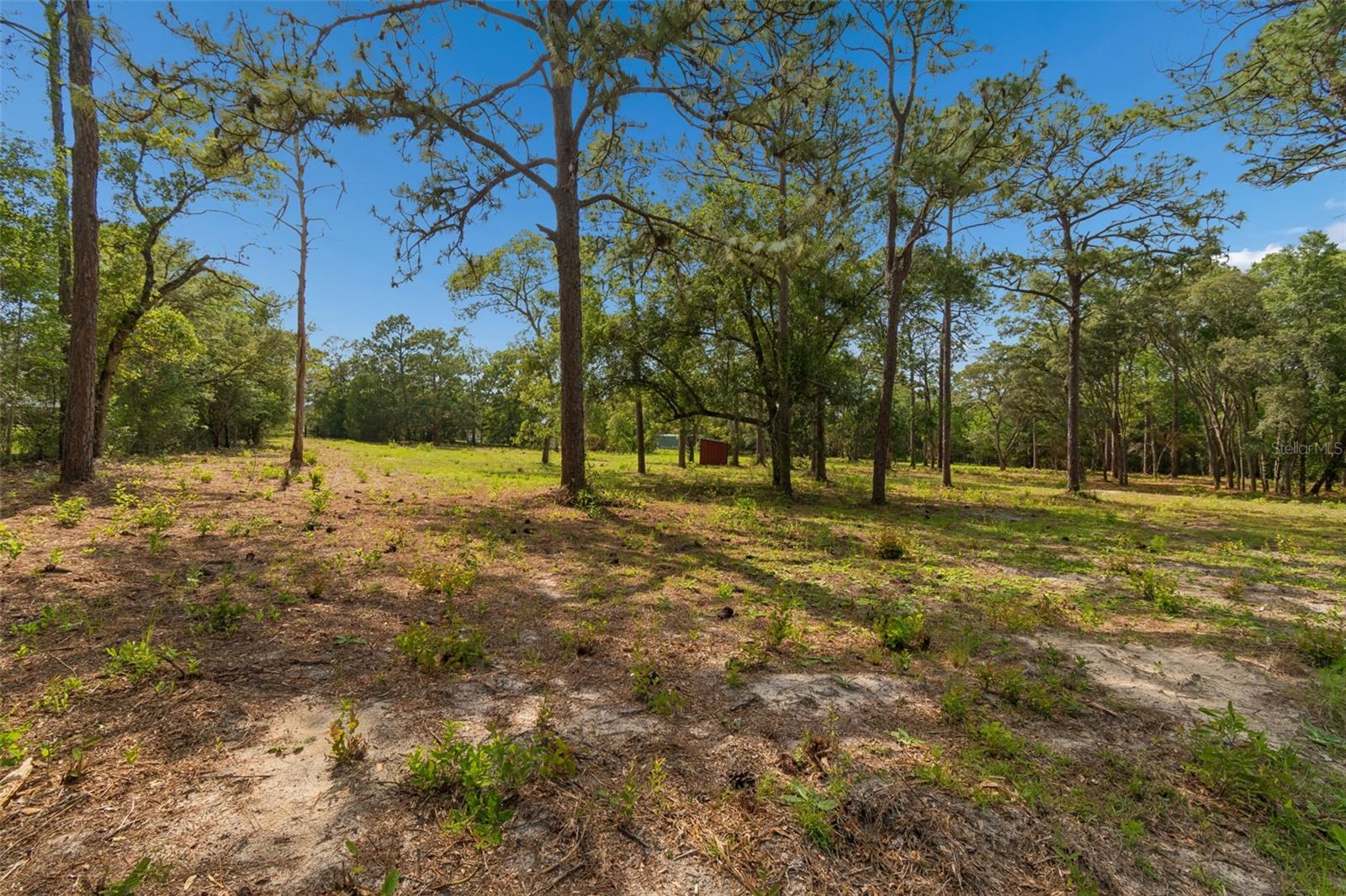 GROVE RD, BROOKSVILLE, FL, 34613