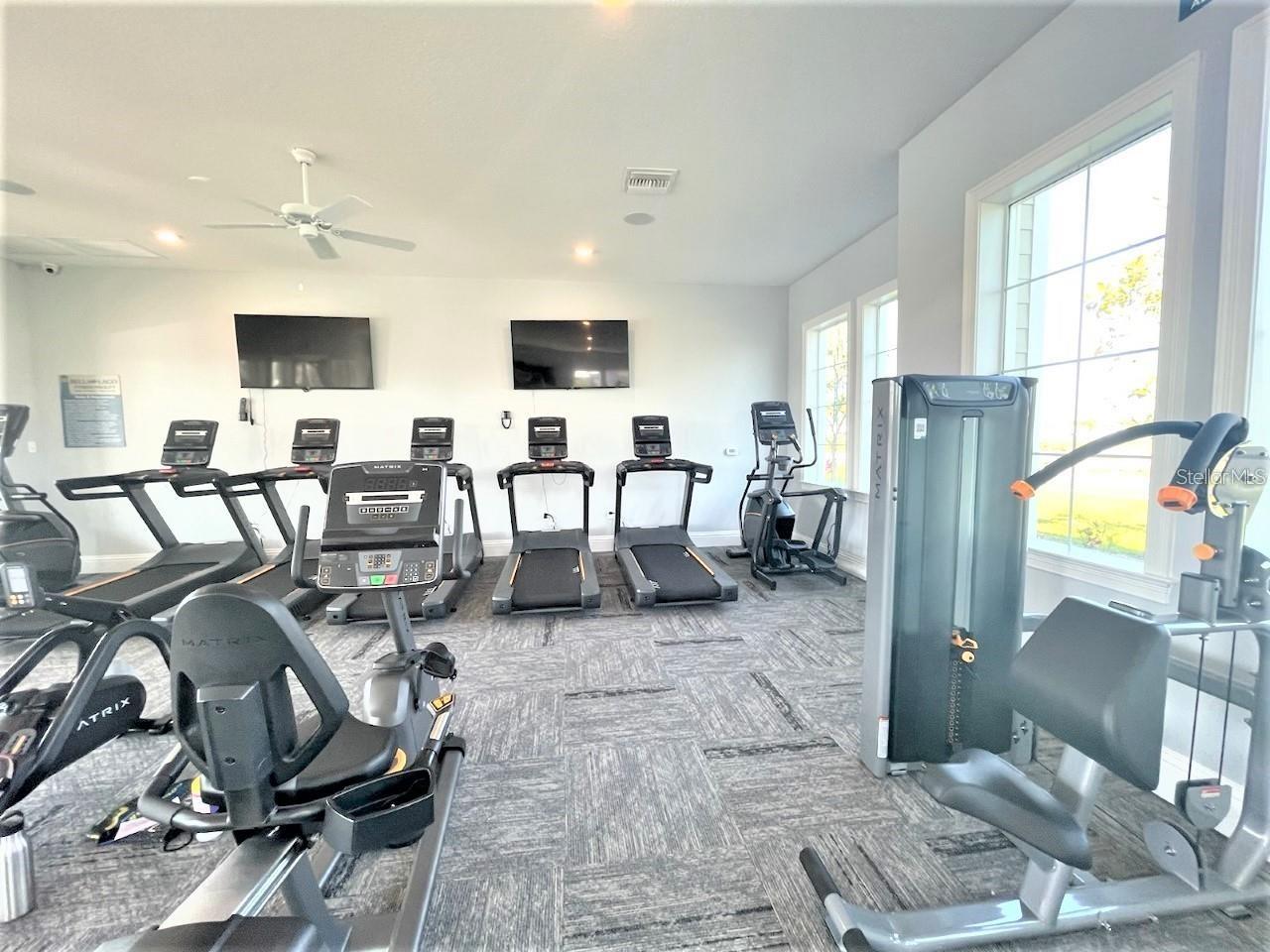 9928 WIMICO TER, PARRISH, FL, 34219