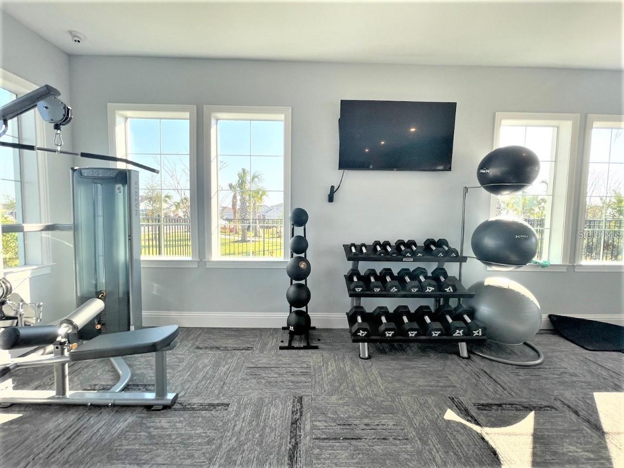 9928 WIMICO TER, PARRISH, FL, 34219