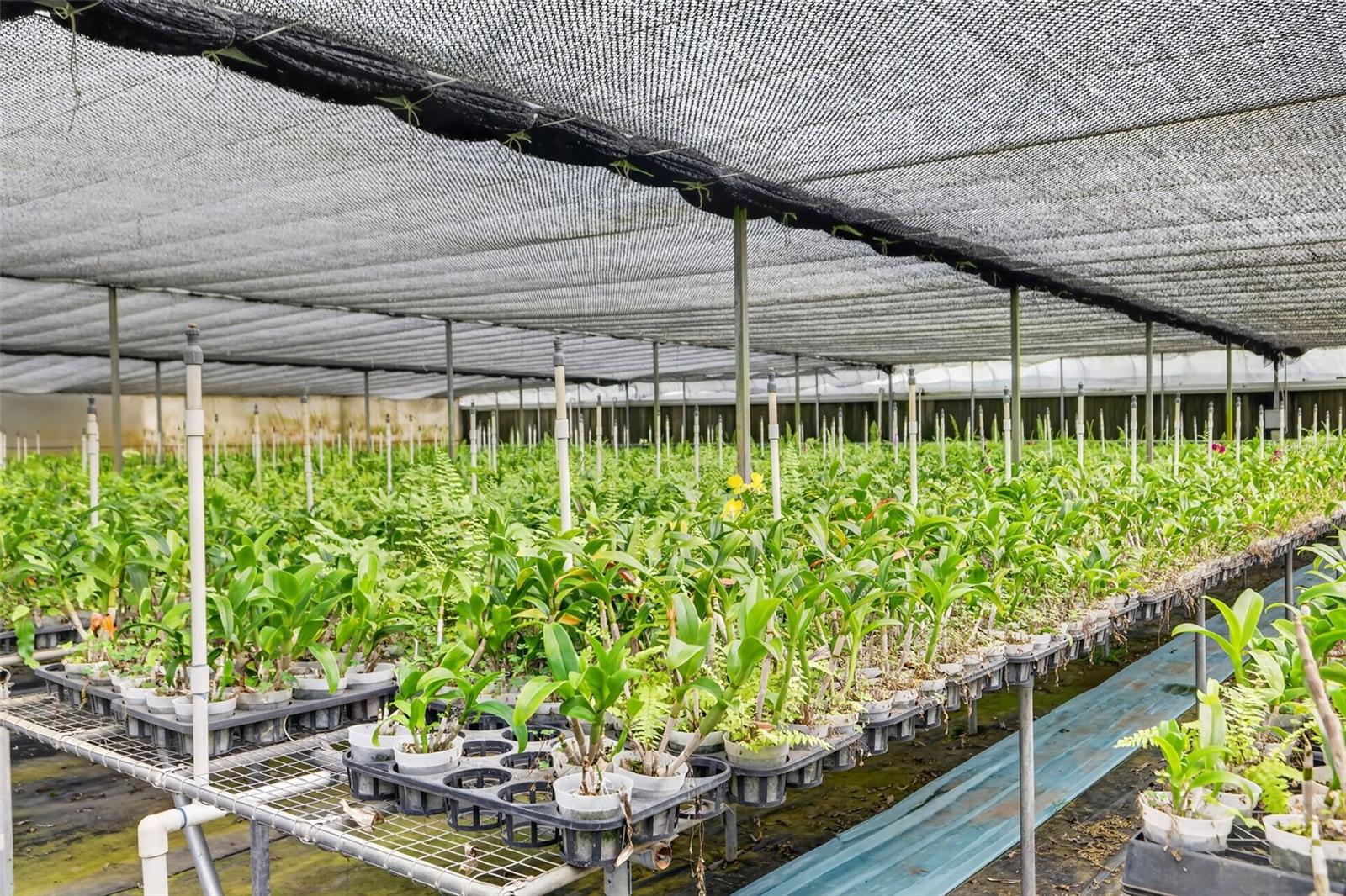 2866 LENT RD, APOPKA, FL, 32712