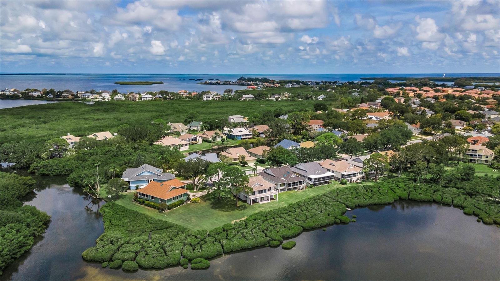 1015 TEAL POINTE, TARPON SPRINGS, FL, 34689