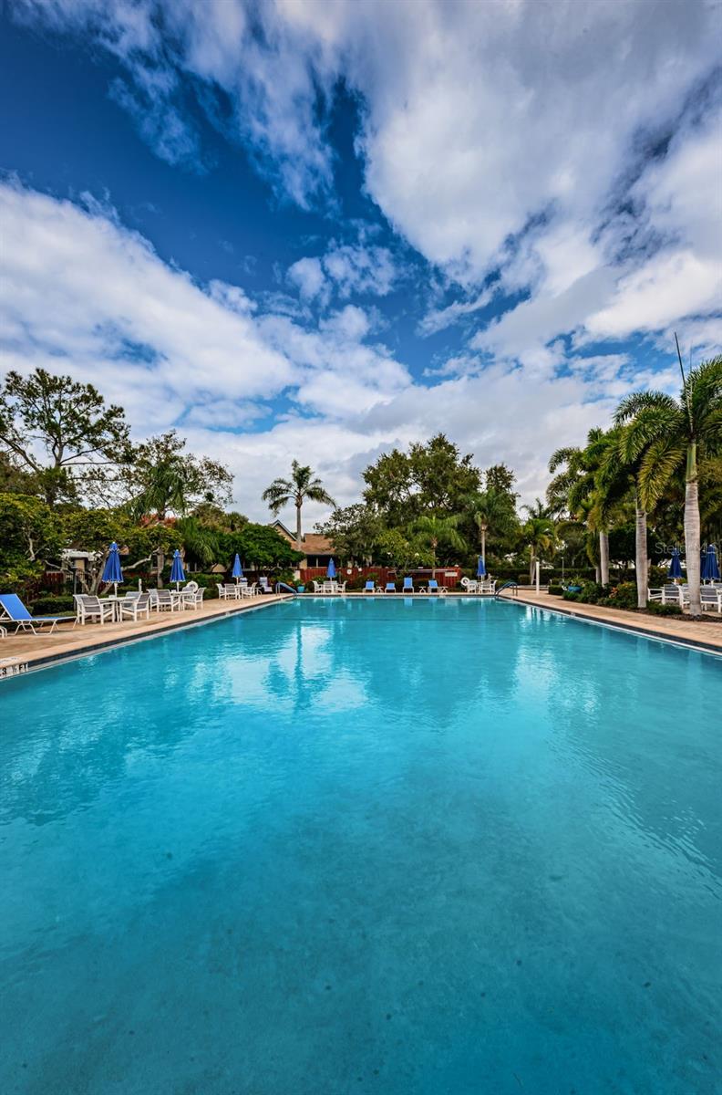 1015 TEAL POINTE, TARPON SPRINGS, FL, 34689