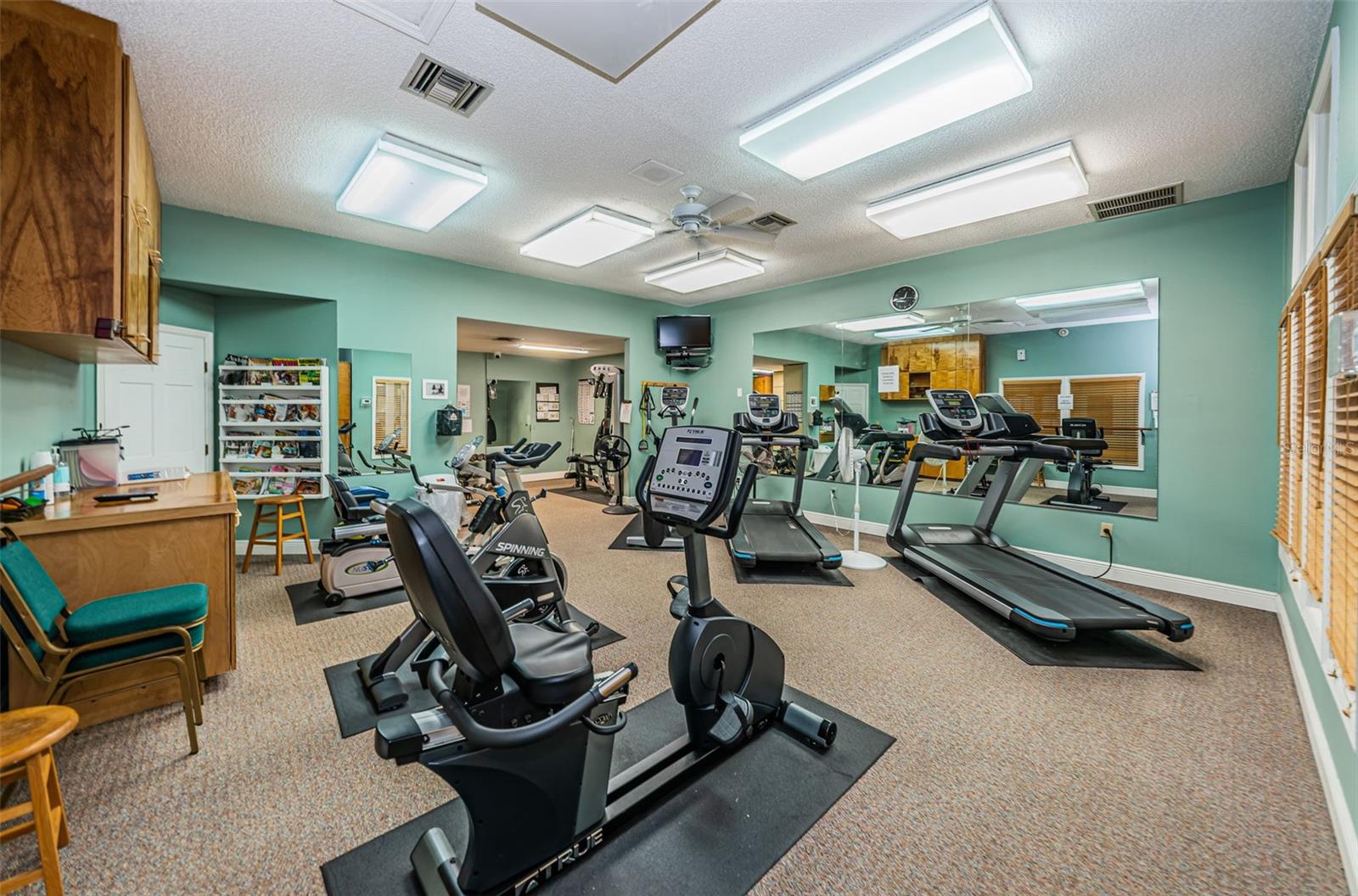 1015 TEAL POINTE, TARPON SPRINGS, FL, 34689