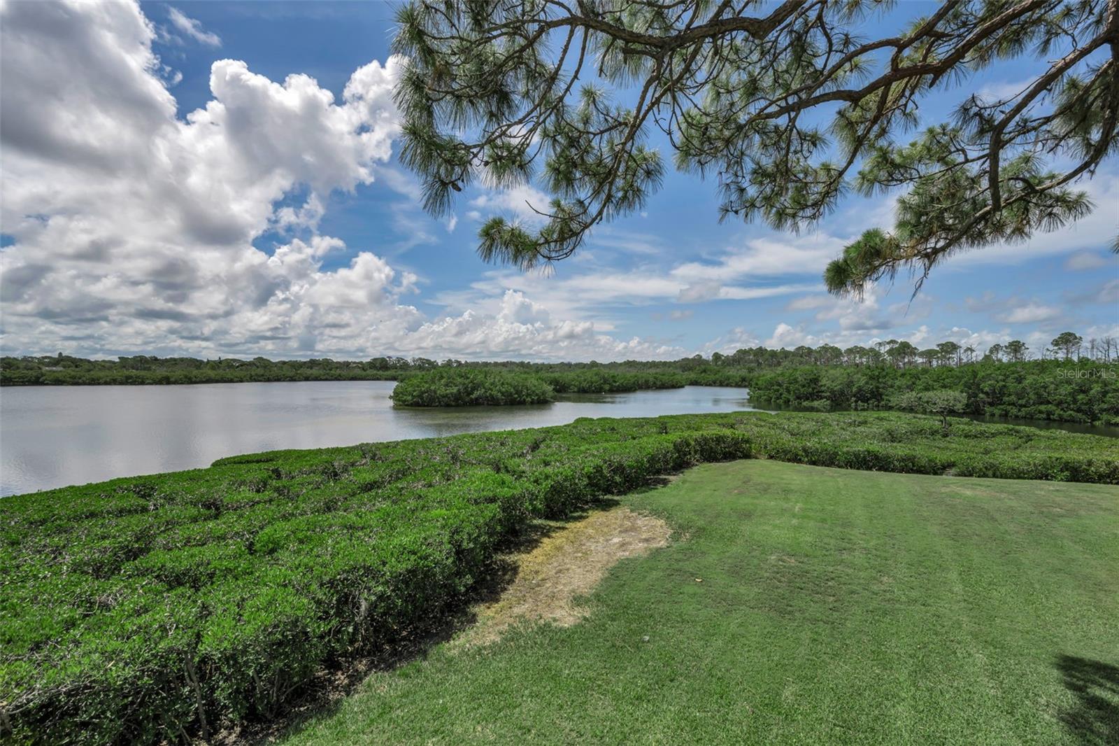 1015 TEAL POINTE, TARPON SPRINGS, FL, 34689