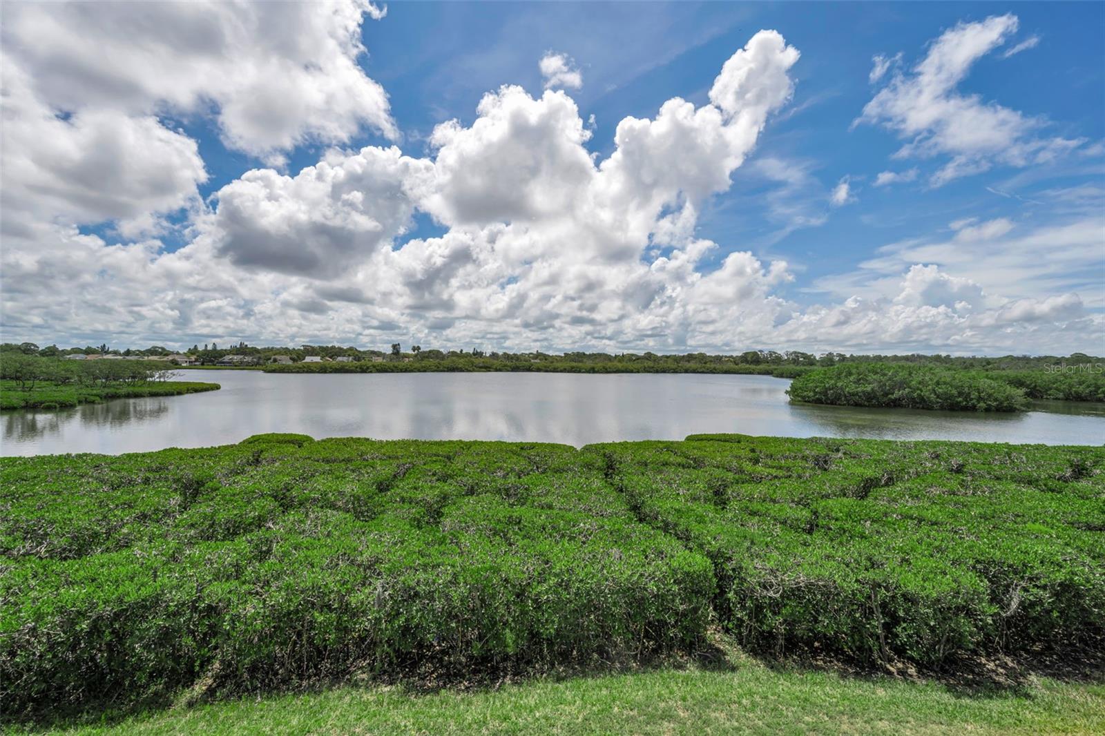1015 TEAL POINTE, TARPON SPRINGS, FL, 34689