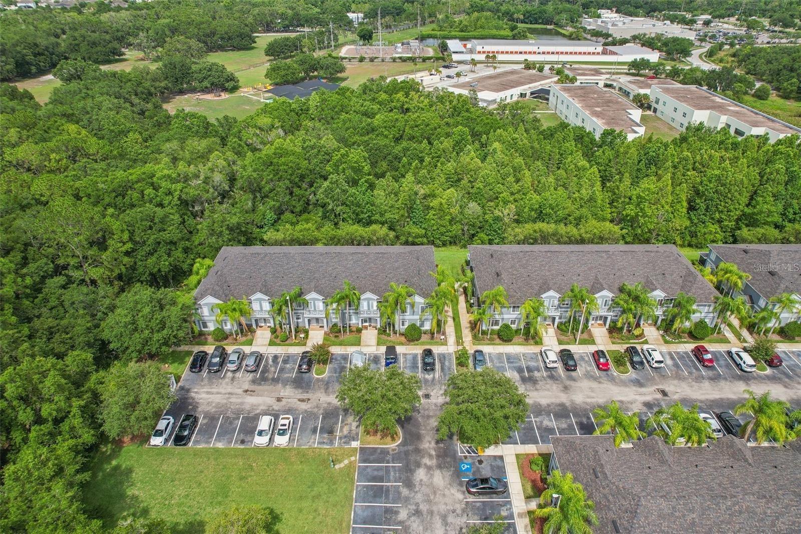 18181 PARADISE POINT DR, TAMPA, FL, 33647