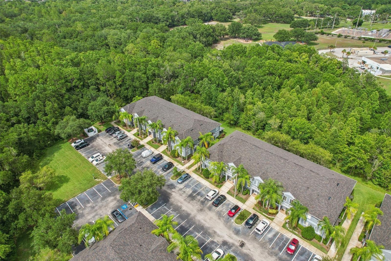 18181 PARADISE POINT DR, TAMPA, FL, 33647