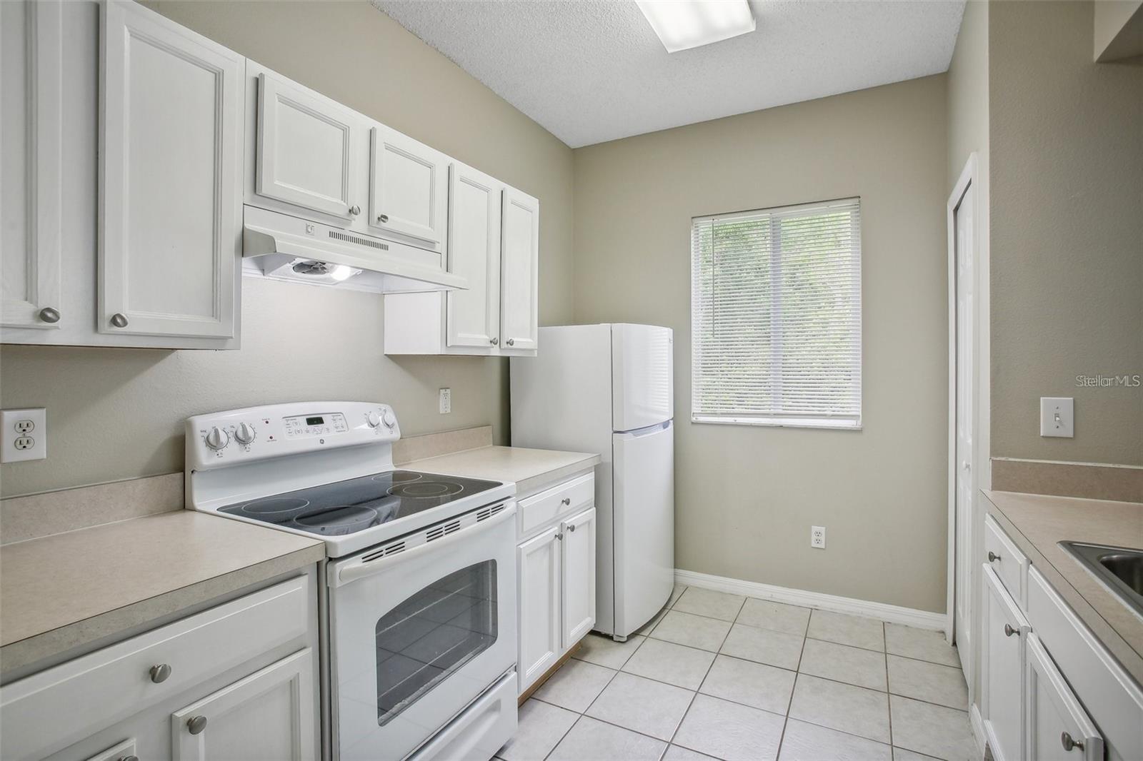 18181 PARADISE POINT DR, TAMPA, FL, 33647