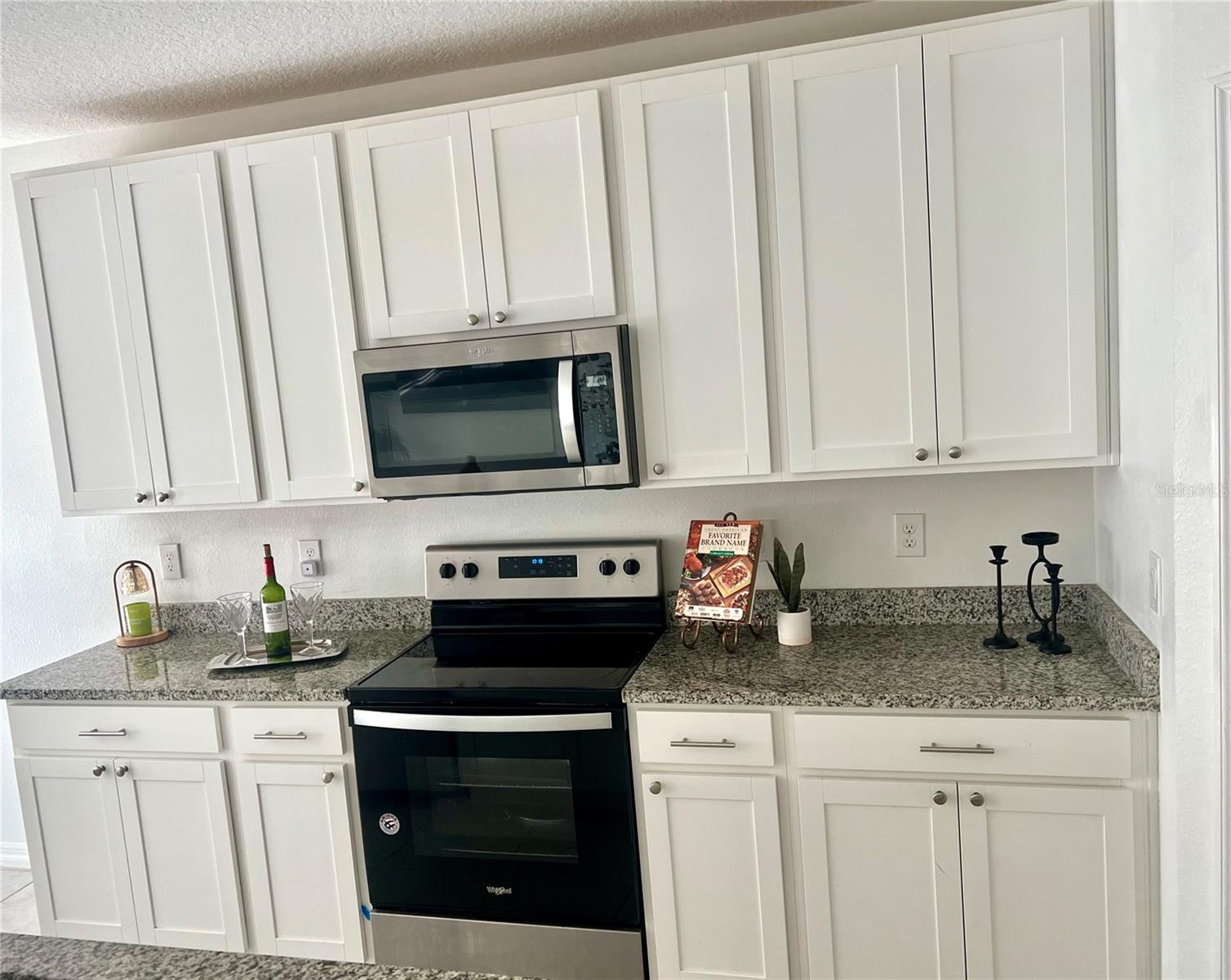 573 VISTA VILLAGES BLVD, DAVENPORT, FL, 33896