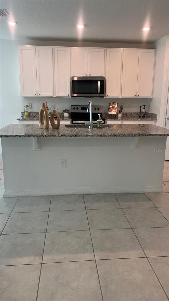 573 VISTA VILLAGES BLVD, DAVENPORT, FL, 33896