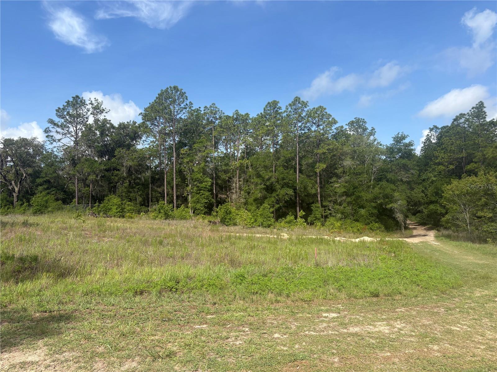 TBD SW 152 CT, OCALA, FL, 34481