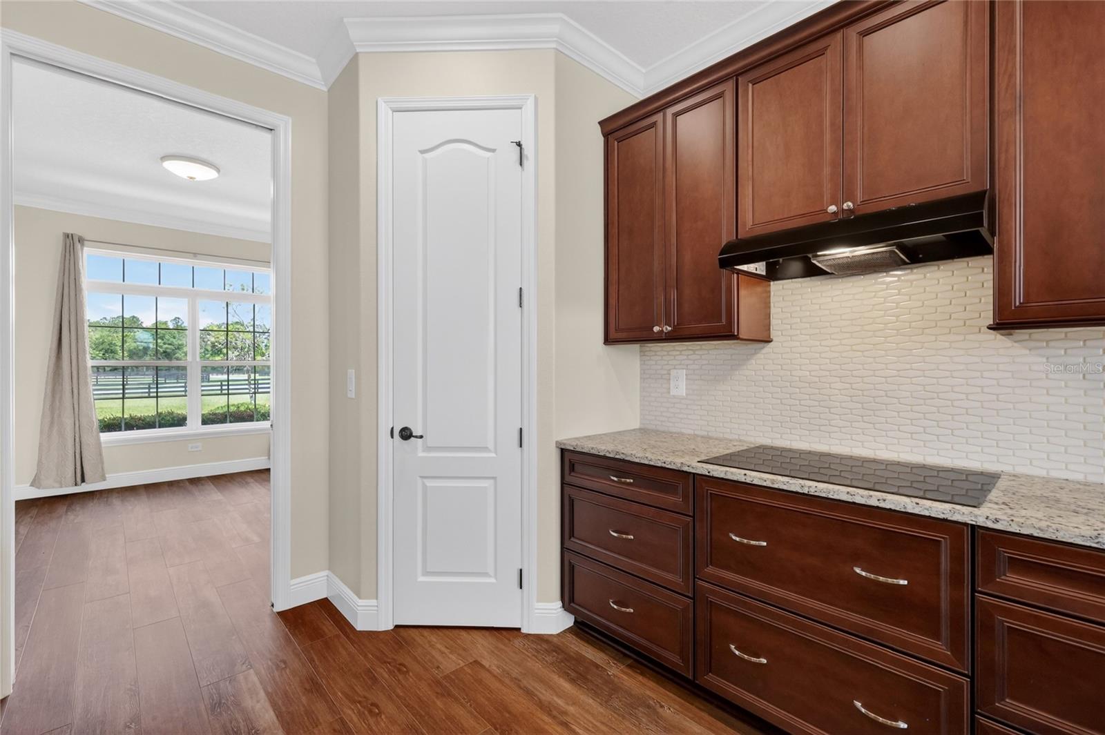 35542 SENECA RESERVE DR, EUSTIS, FL, 32736