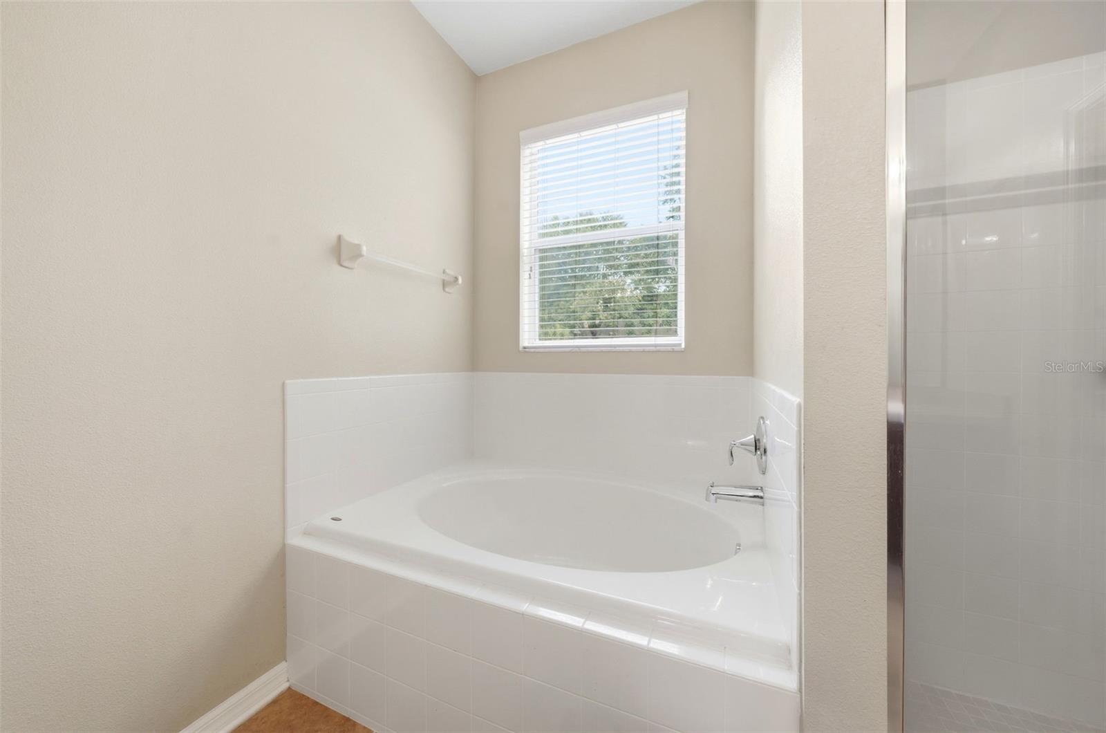 424 MISTY OAKS LN, EUSTIS, FL, 32736