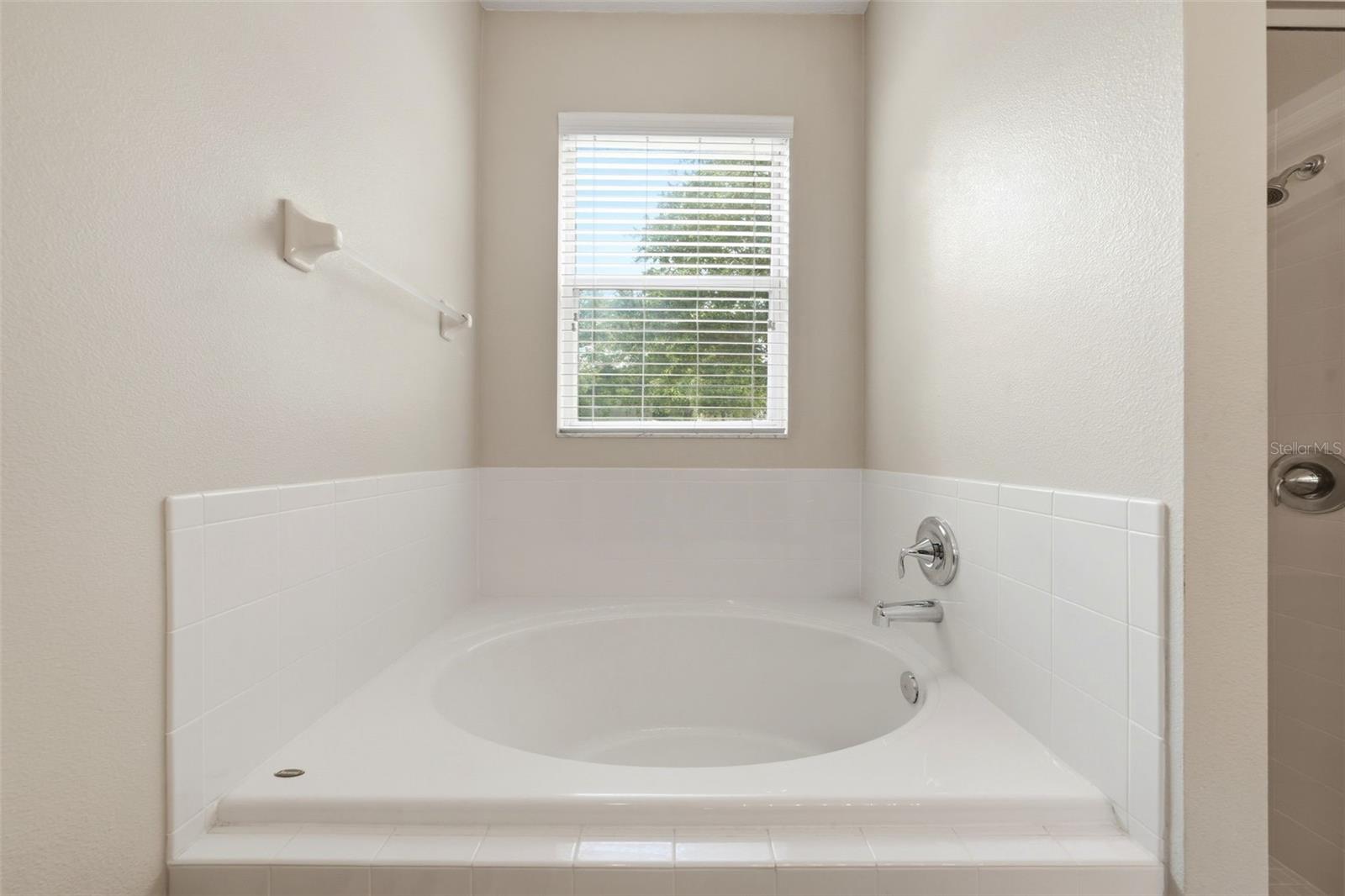 424 MISTY OAKS LN, EUSTIS, FL, 32736