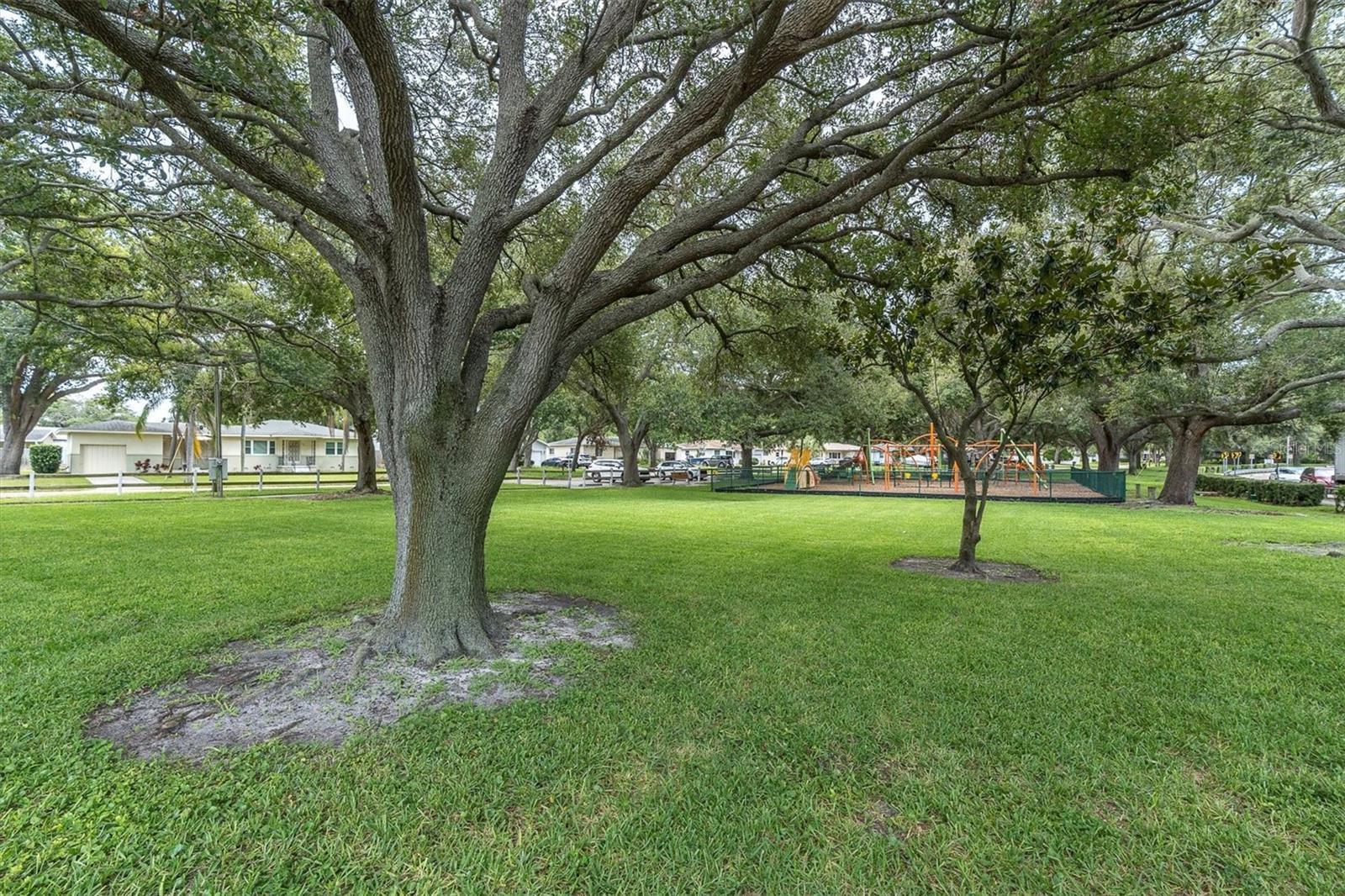 6237 13TH AVE S, GULFPORT, FL, 33707