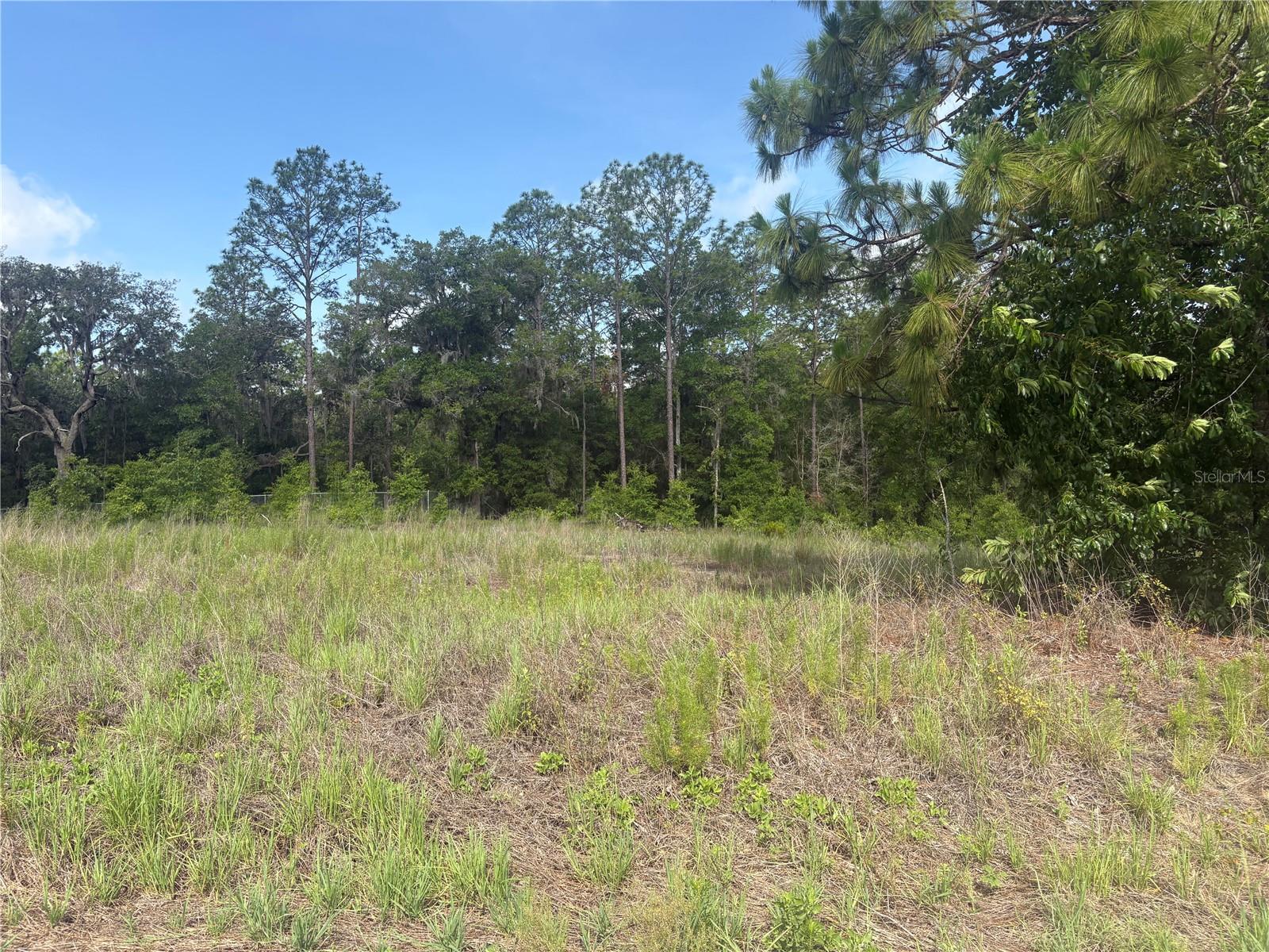 TBD SW 152 CT, OCALA, FL, 34481
