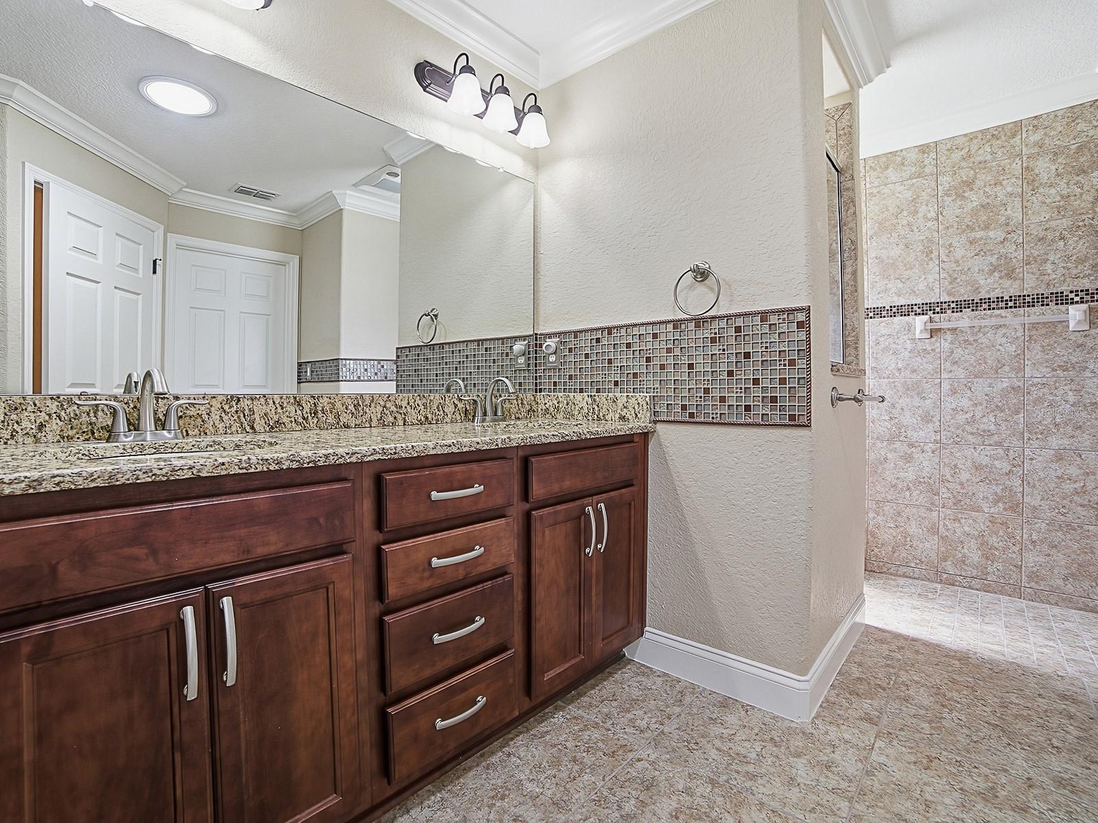 11081 SE 167TH PL, SUMMERFIELD, FL, 34491