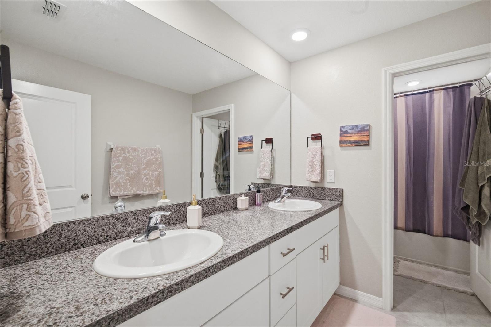 4808 WILD SENNA BLVD, TAMPA, FL, 33619
