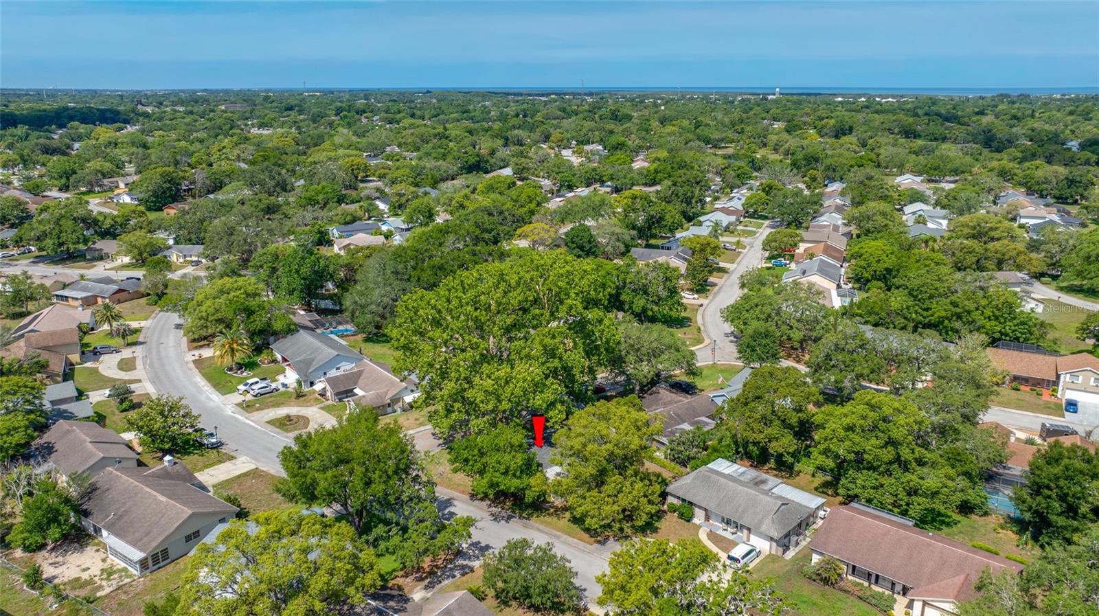 8705 POWDERHORN ROW, HUDSON, FL, 34667