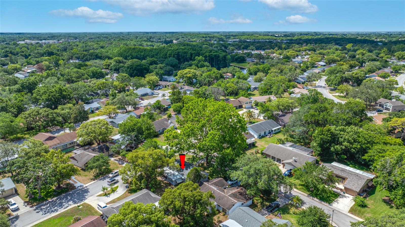 8705 POWDERHORN ROW, HUDSON, FL, 34667
