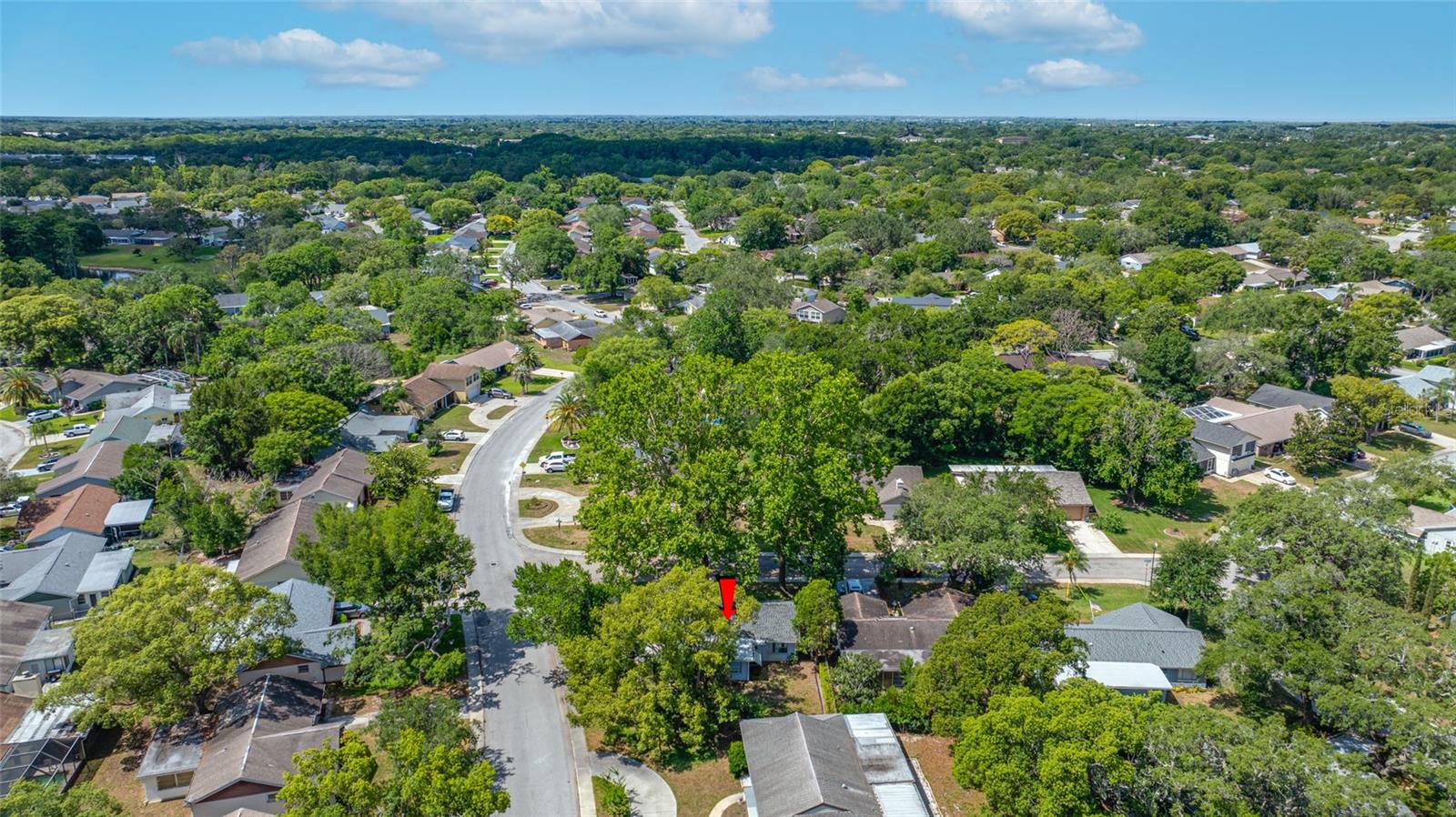 8705 POWDERHORN ROW, HUDSON, FL, 34667