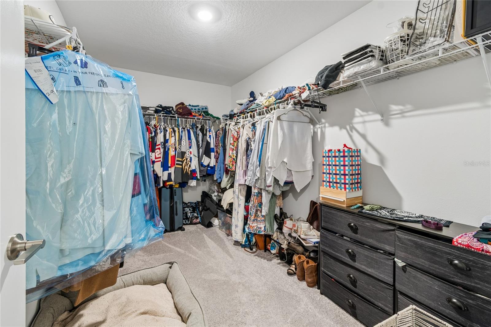 22203 CALISTO WAY, LAND O LAKES, FL, 34637