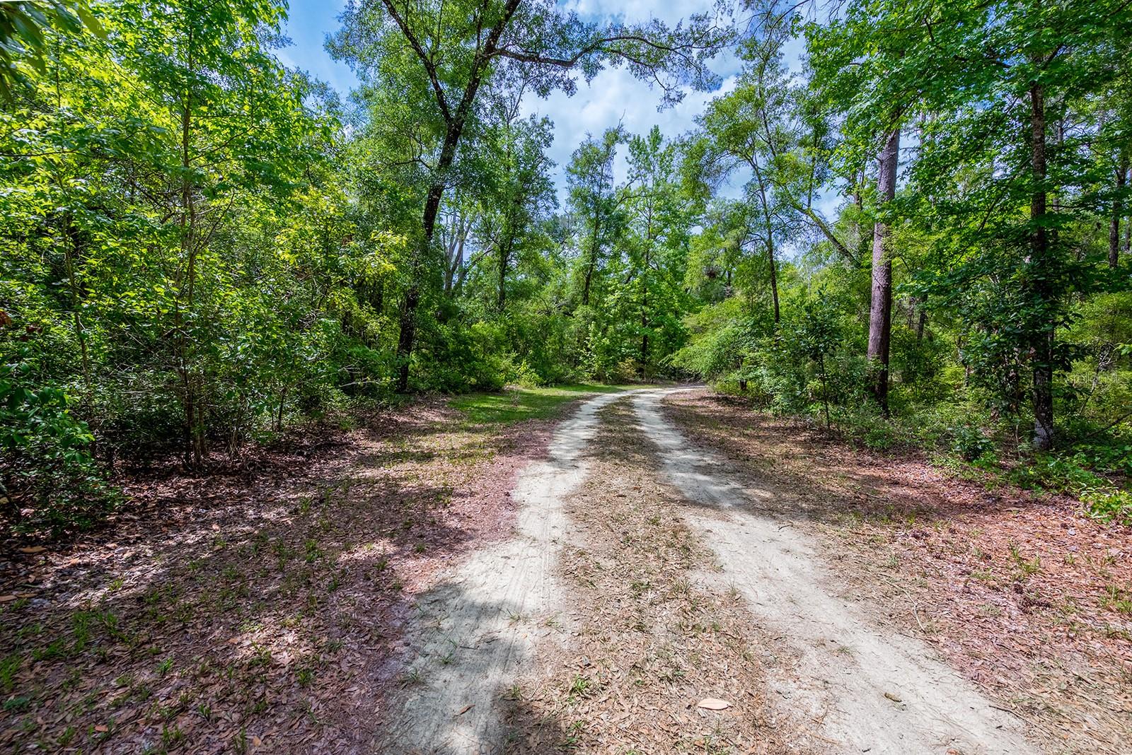 225 NE 543RD AVE, OLD TOWN, FL, 32680