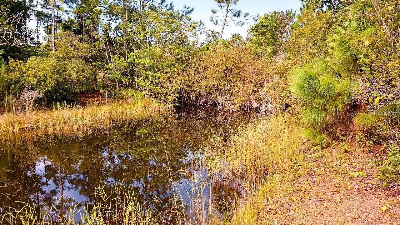 1177 PFUNDSTEIN RD, BABSON PARK, FL, 33827