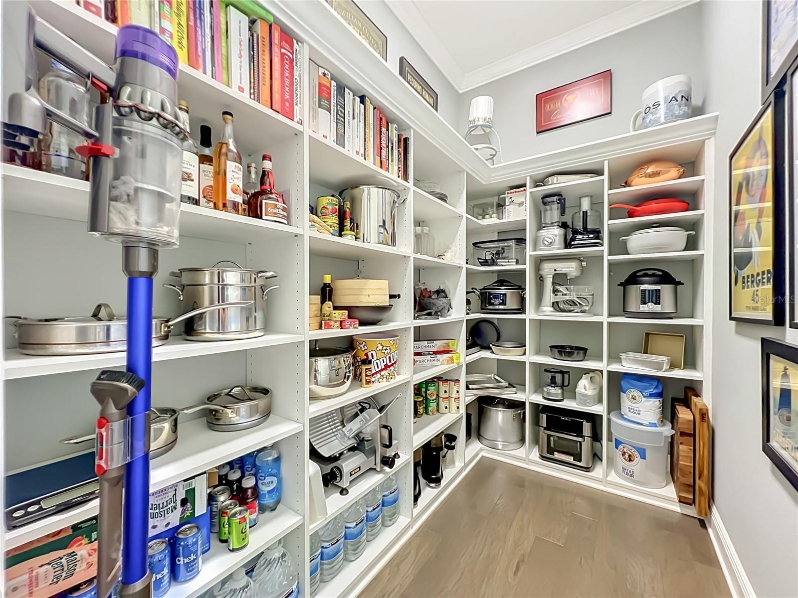 15326 JOHNS LAKE POINTE BLVD, WINTER GARDEN, FL, 34787
