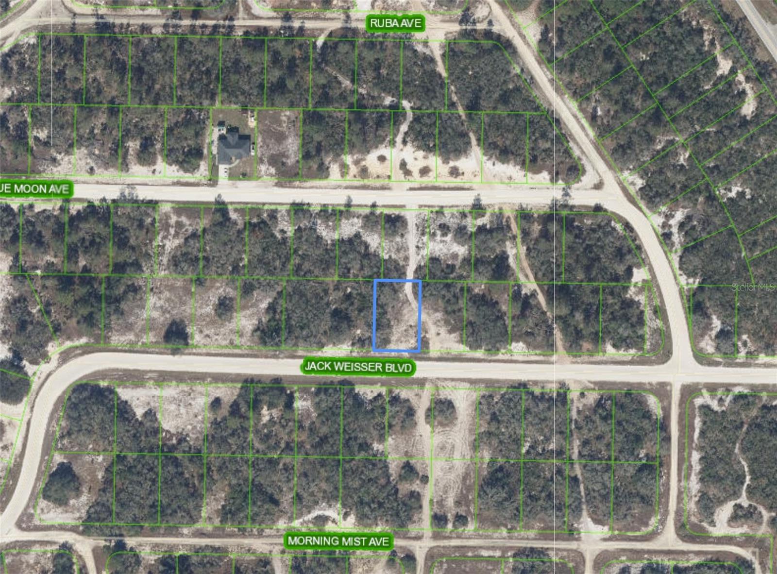 462 JACK WEISSER BLVD, LAKE PLACID, FL, 33852