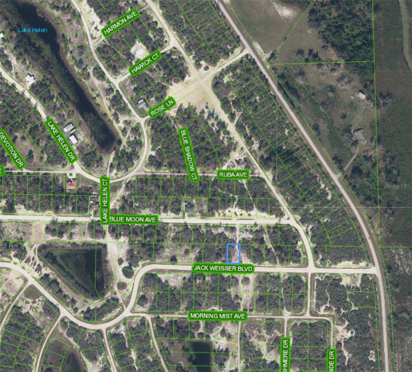 462 JACK WEISSER BLVD, LAKE PLACID, FL, 33852