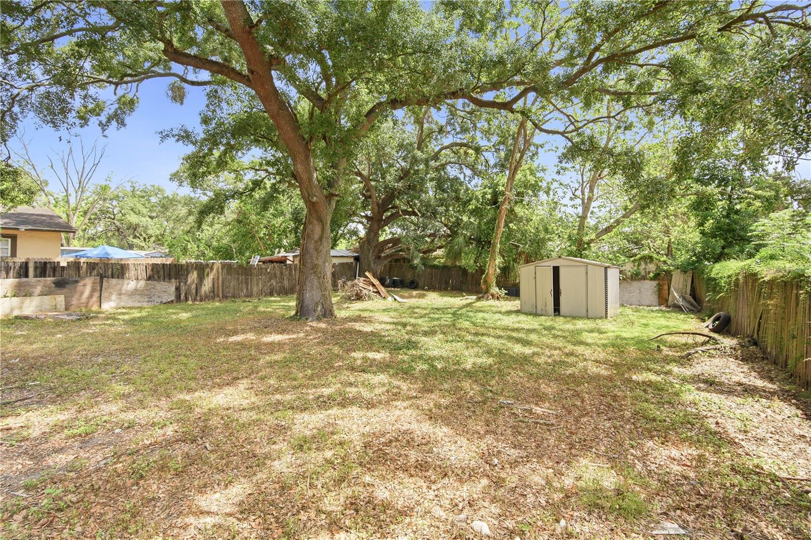 6209 N 43RD ST, TAMPA, FL, 33610